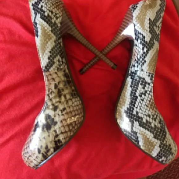Dots Shoes - Dots snakeskin heels